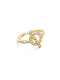 Anillo lazo N