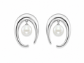 Aretes Perla en Órbita