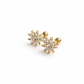 ARETES BROQUEL FLOR RADIANTE