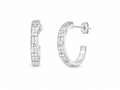 Aretes Flor de Plata